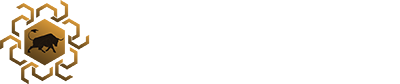 GFN Network